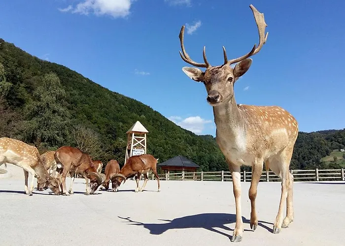 Appartement F95 Aqualuna Kamp Natura Swimming Card Not Included *